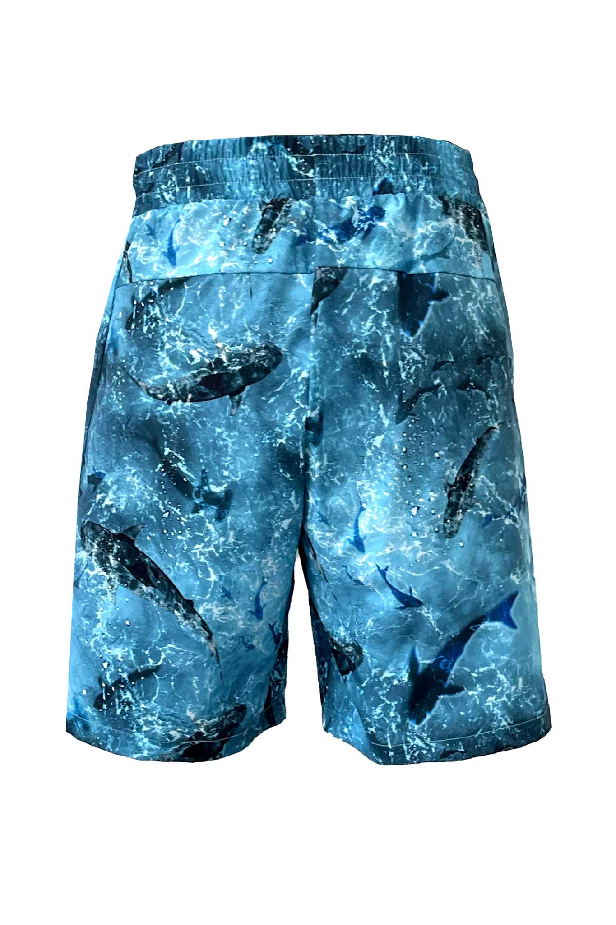 Salty Dog v2 Men's Fast Drying Shark Patterned Blue Swimshort