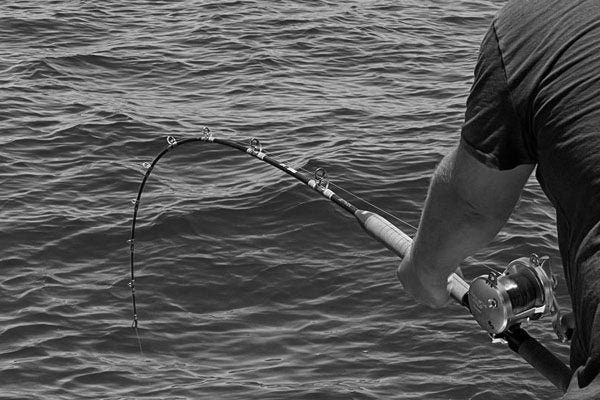 Höwk Venice 12-20 Lb Fishing Rod